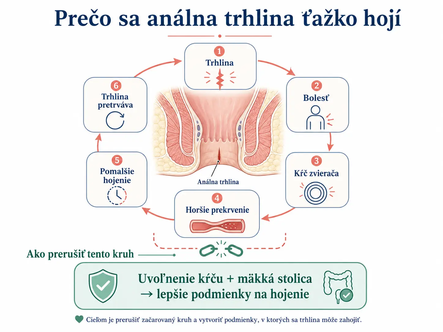 Infografika znázorňujúca, prečo sa análna trhlina ťažko hojí – bolesť, kŕč zvierača, horšie prekrvenie a spomalené hojenie